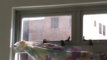 Link video bokep anus